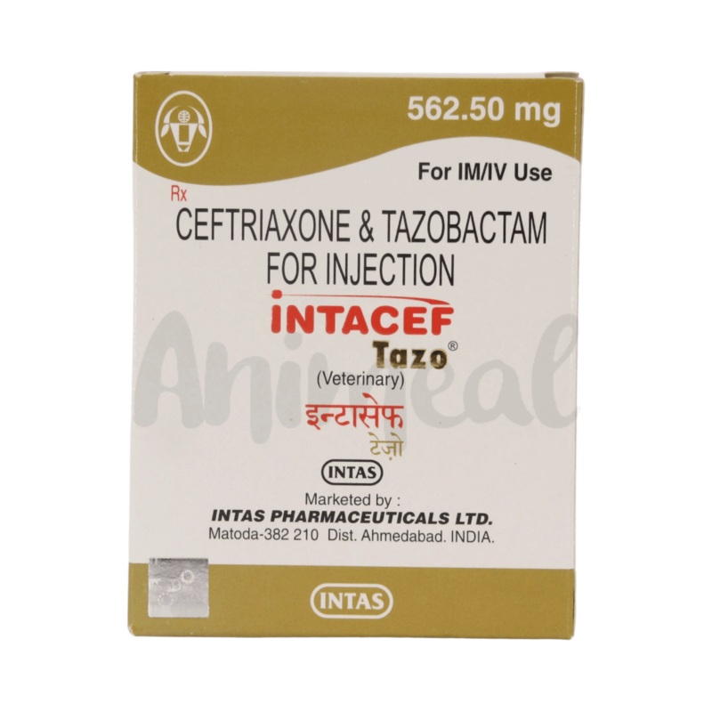 INTACEF TAZO PET 562.50MG INJ