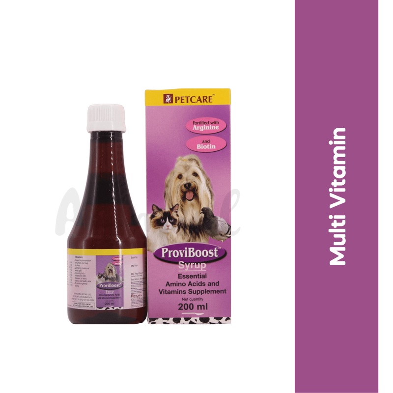 PROVIBOOST SYRUP (S)