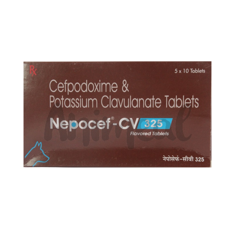 NEPOCEF-CV 325MG TABLET