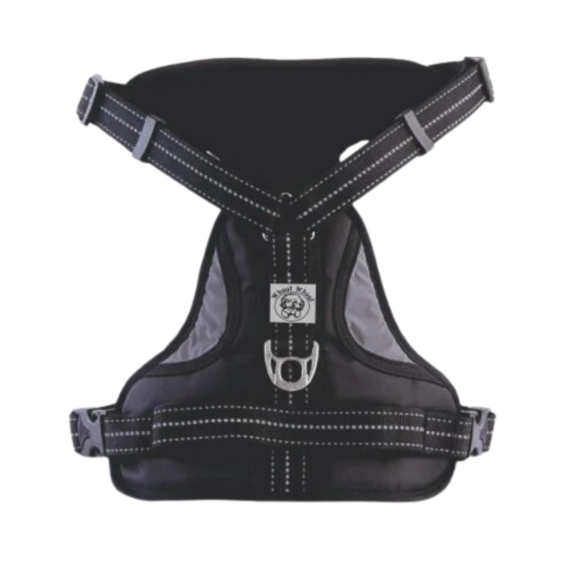 WW ALDO HARNESS BLACK (L)