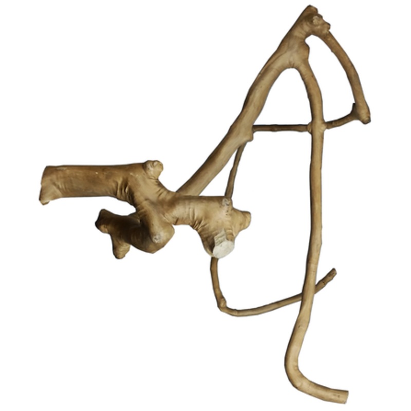 A&E Java Wood Multi Branch Perch – Large
