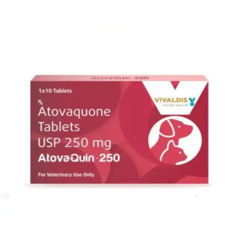 ATOVAQUIN 250MG TABLET