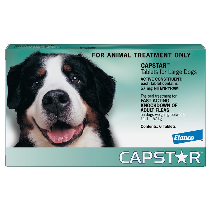 Capstar Medium and Large Dogs Over 11kg – 6 Pack