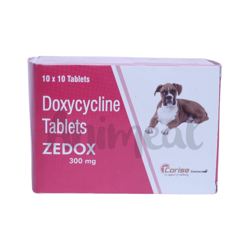 ZEDOX 300 TABLET