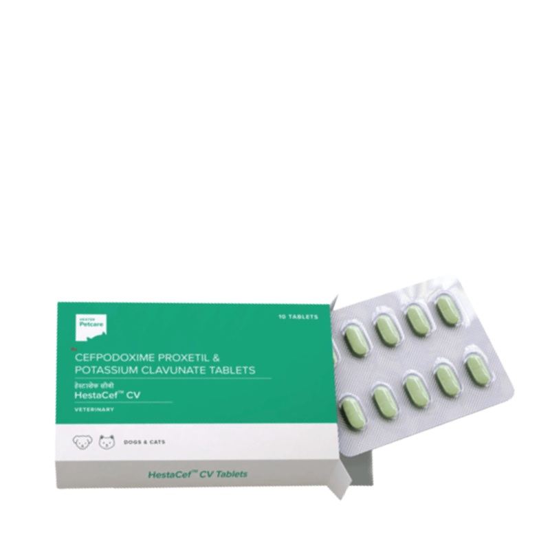 HESTACEF CV TABLET