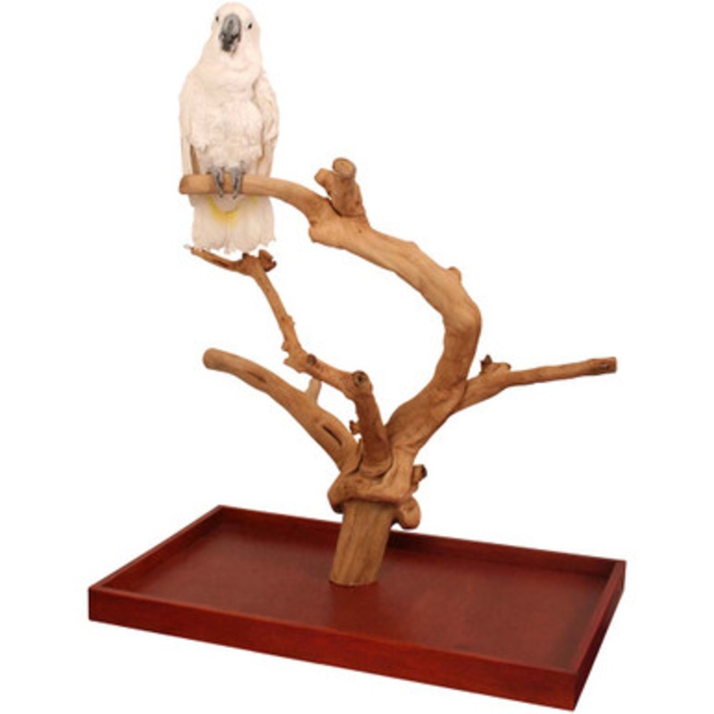 Java Tabletop Tree – Large – Natural Hardwood Parrot Stand