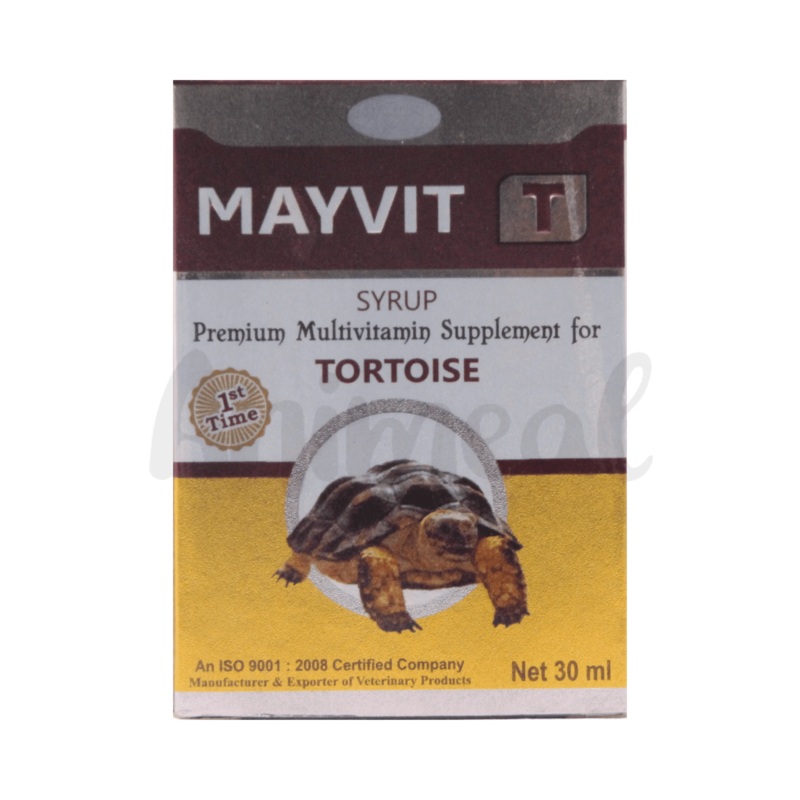 MAYVIT TORTOISE DROP
