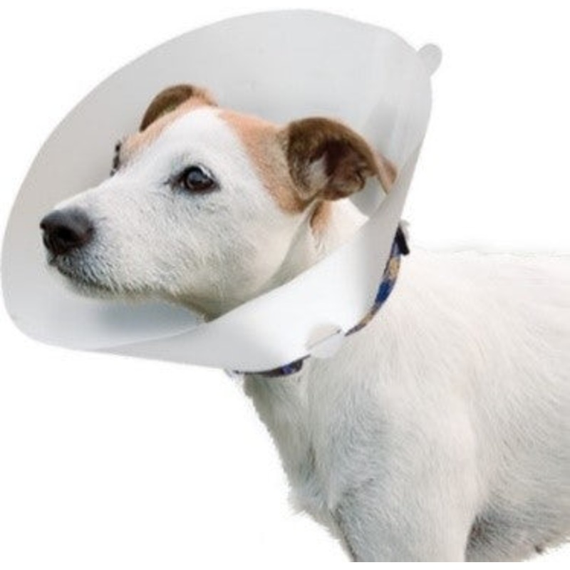 VETERINARY DOG COLLAR|GRO 6004|GRO 6005|GRO 6006|GRO 6007|GRO 6008
