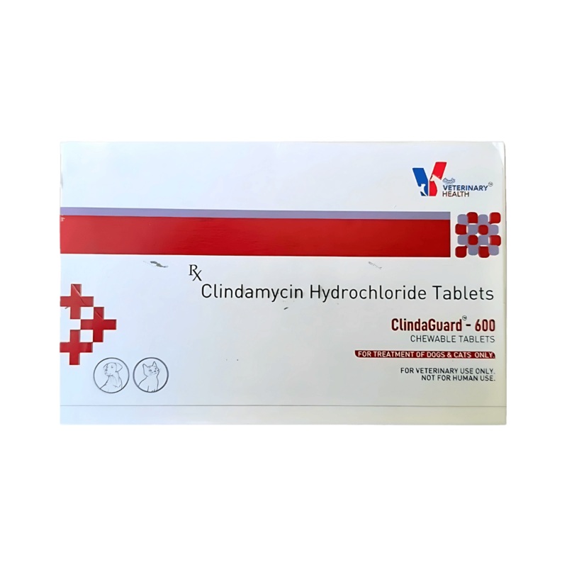 CLINDAGUARD 300MG TABLET