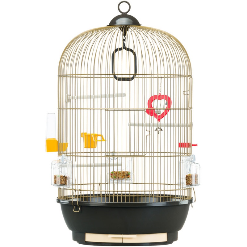 DIVA BRASS|63/40cm