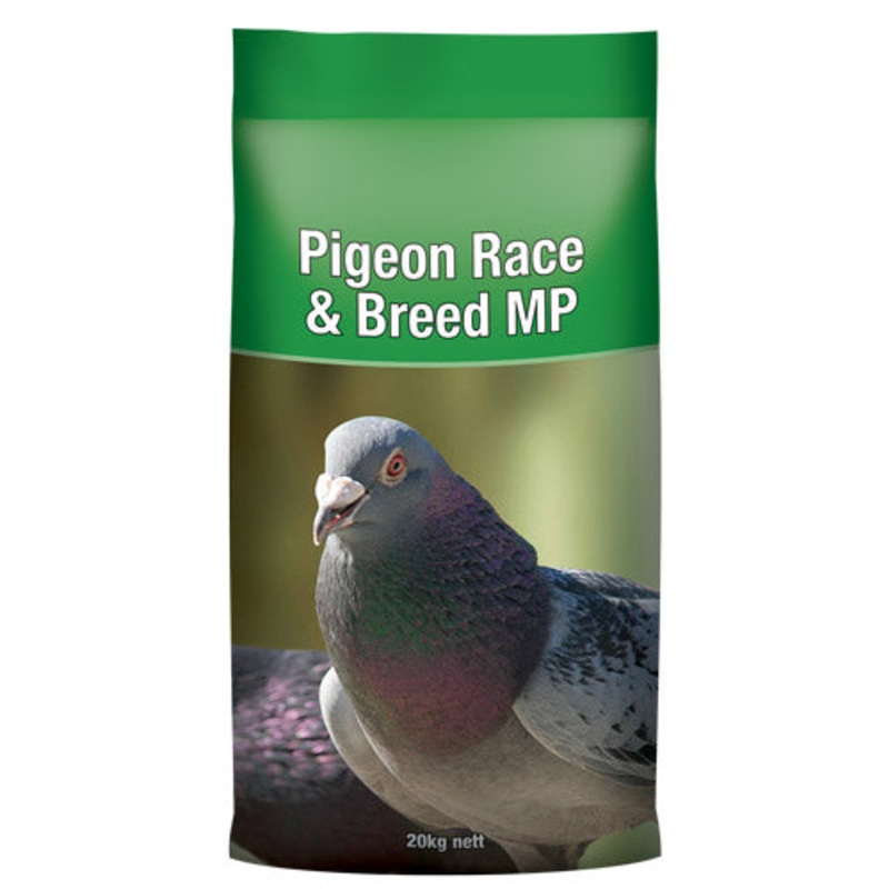 Pigeon Race & Breed MP