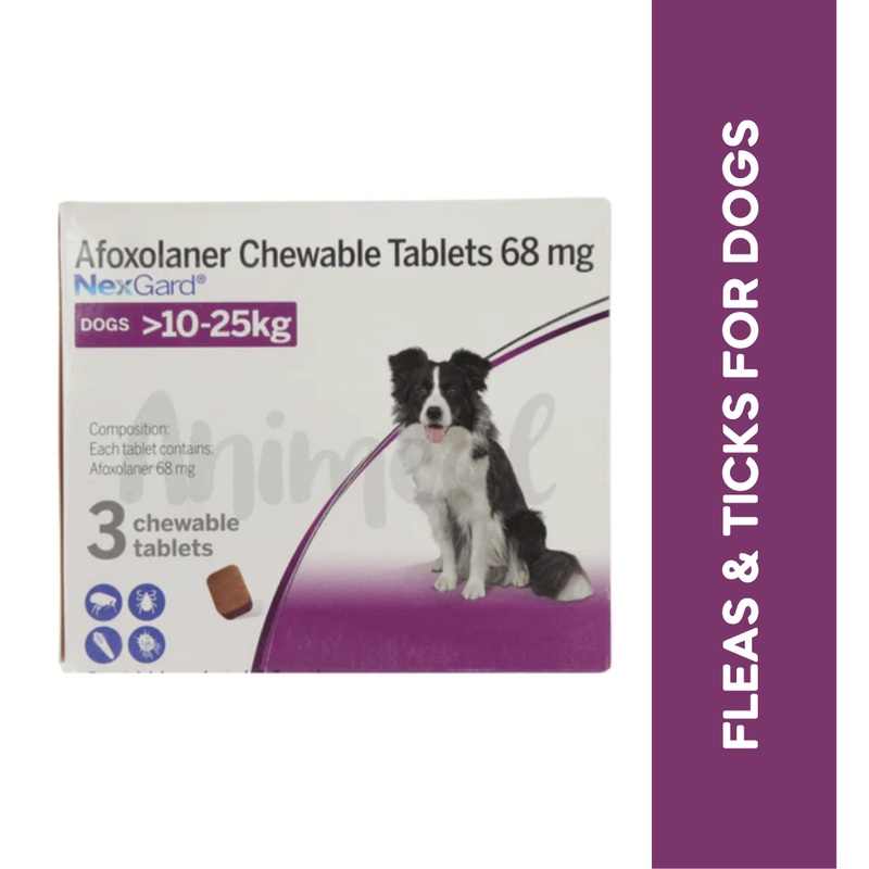 NEXGARD (10-25KG) DOG TABLET