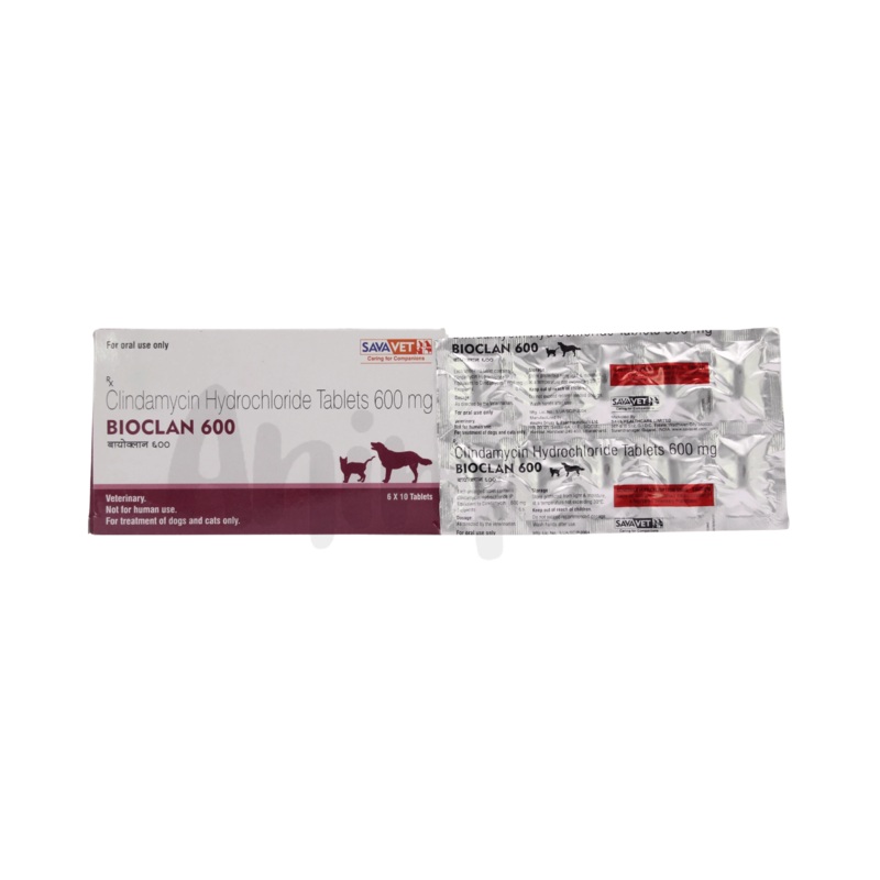 BIOCLAN 600 TABLET