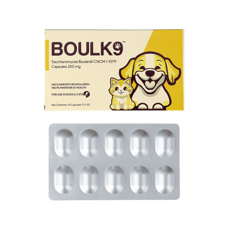 BOULK9 TABLET