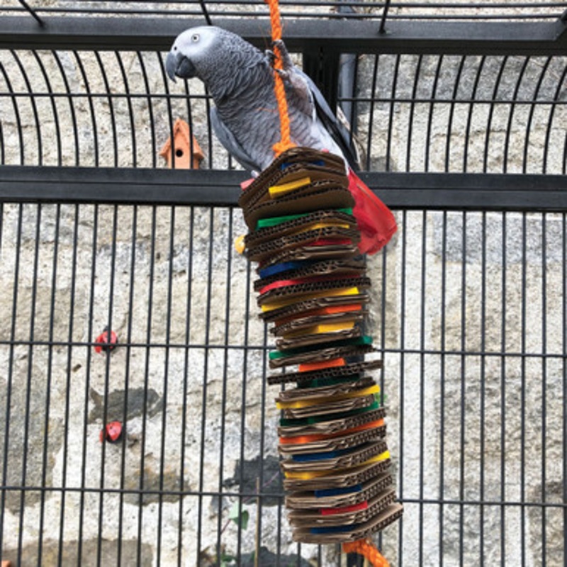Stacks of Shredding – Large – Wood & Cardboard Parrot Toy