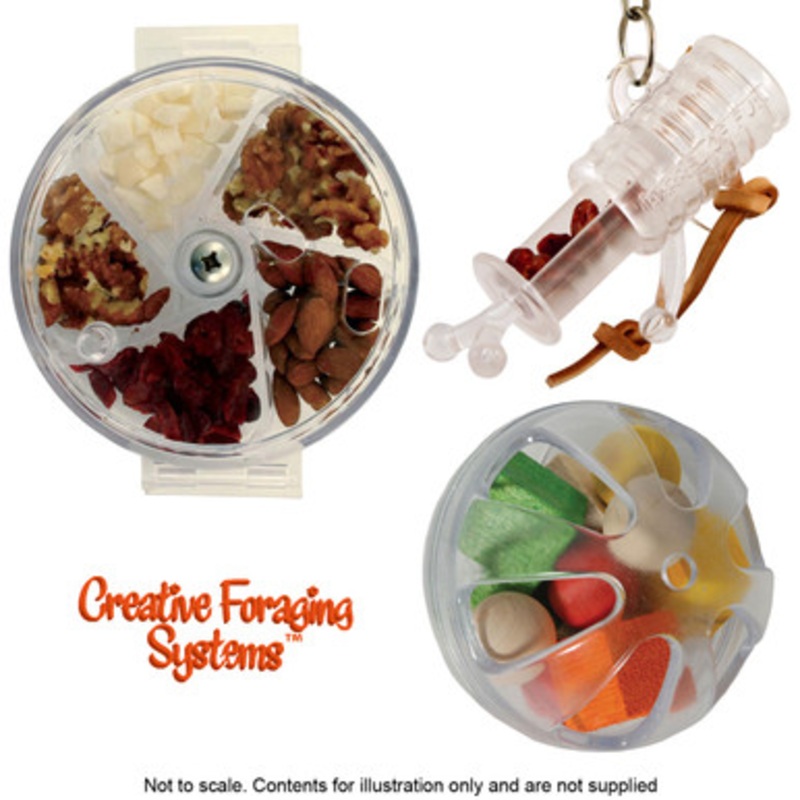 Creative Foraging Parrot Toy Bundle