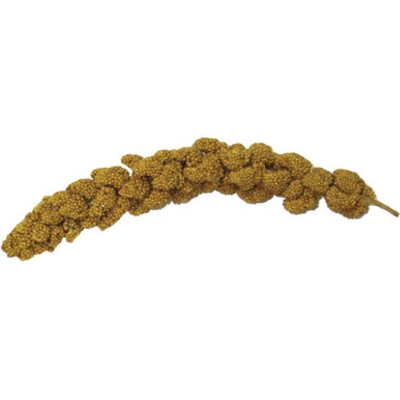 Millet Spray (Each)