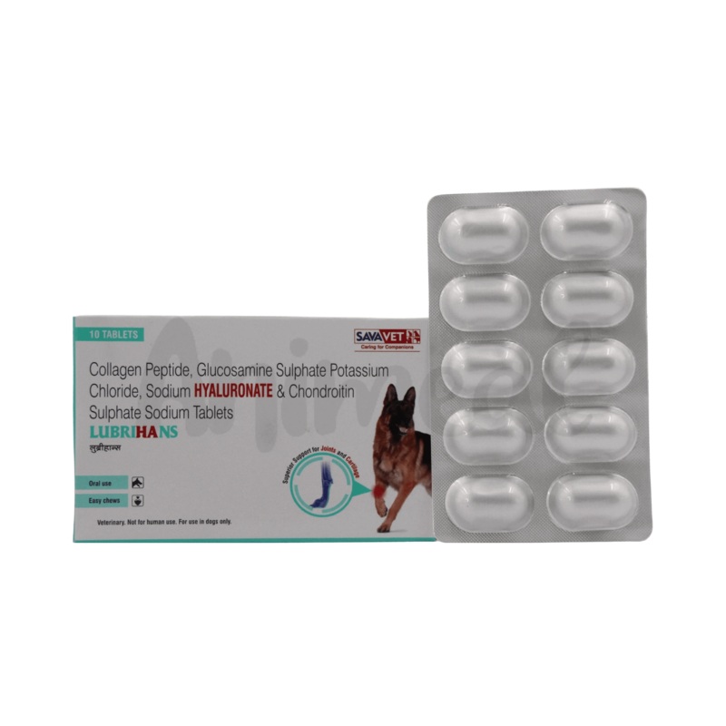 LUBRIHANS TABLET