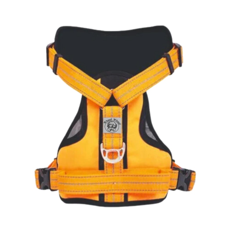 WW ALDO HARNESS ORANGE (M)
