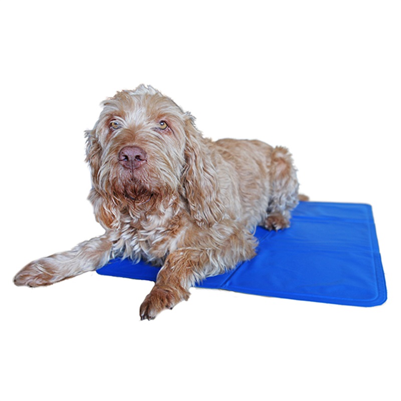 Chillax Cool Pad Large 60x90cm