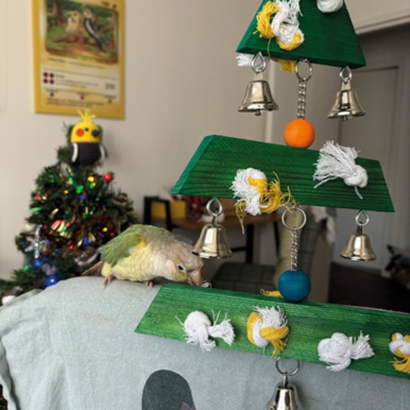 Jingle Bell Christmas Tree Parrot Toy