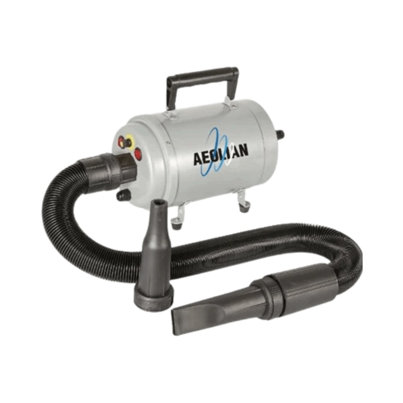 AEOLIAN BLASTER SINGLE MOTOR DRYER