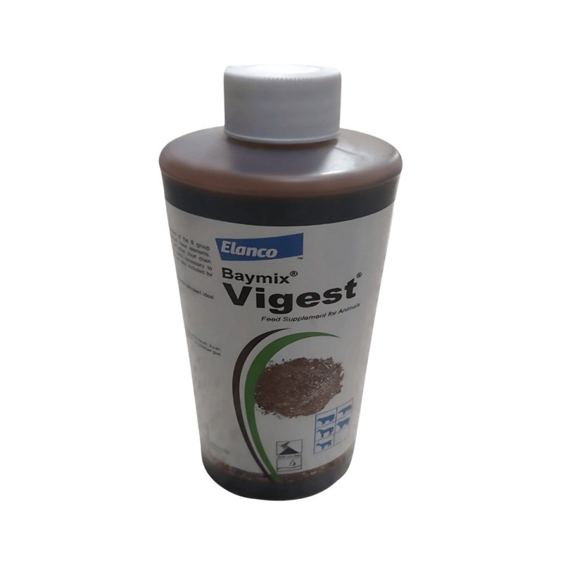 VIGEST LIQUID