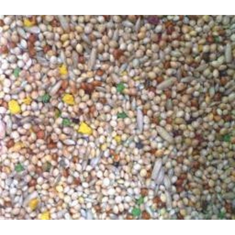 BUDGIE ECONOMY MIX 20KG|20kg
