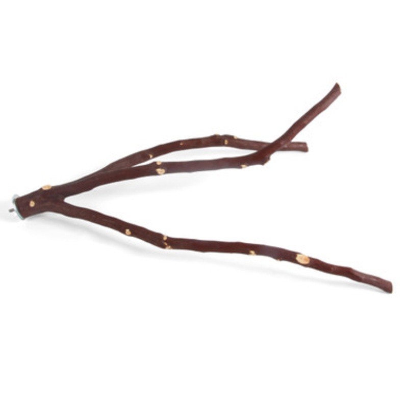 Manzanita Multi Perch – Medium