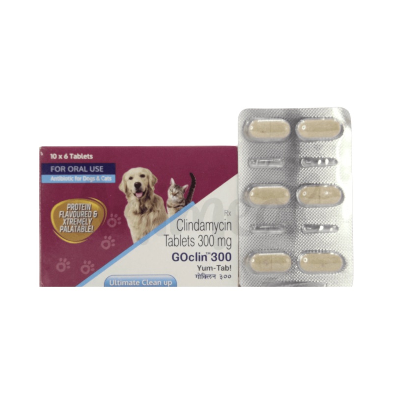 GOCLIN 300 TABLET
