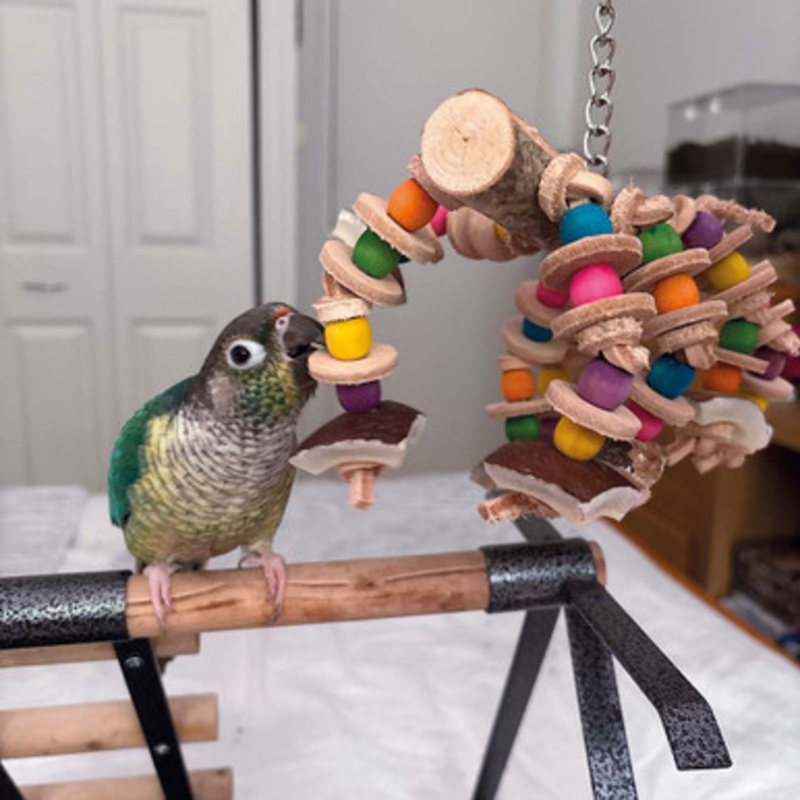 Caterpillar Birch Wood and Leather Parrot Toy