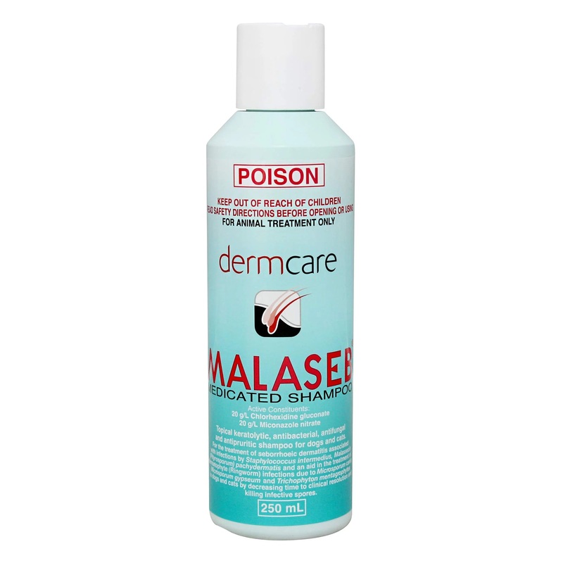 Malaseb Medicated Shampoo|250ml|500ml|1 litre