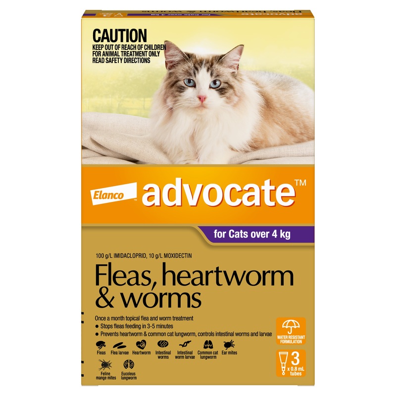 Advocate Purple – Large Cats Over 4kg