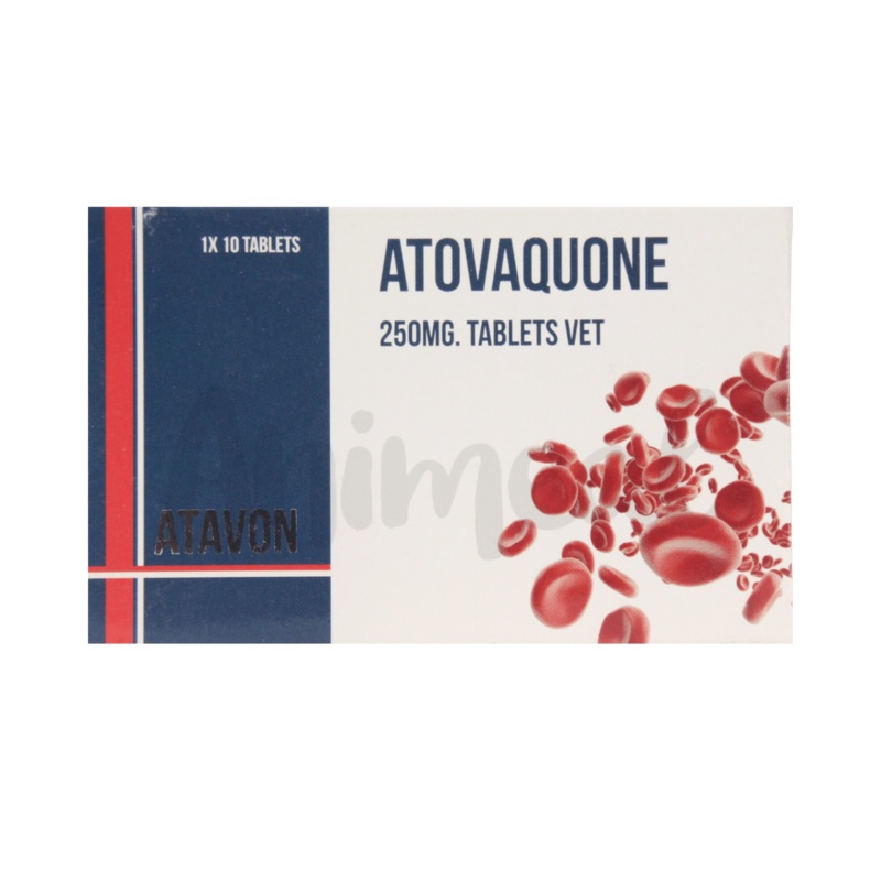 ATAVON TABLET 250MG