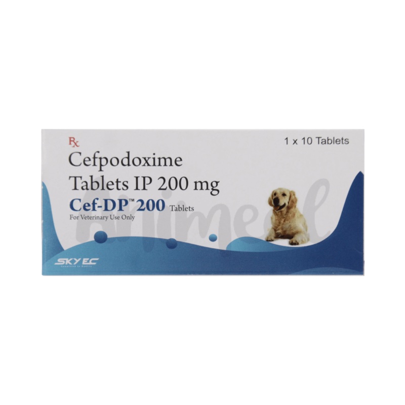 CEF – DP 200MG TABLET