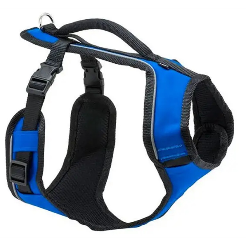 PetSafe EasySport Harness, Large, Blue
