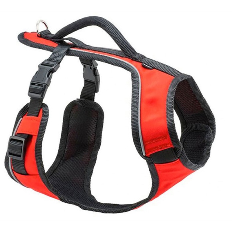 PetSafe EasySport Harness, Large, Red