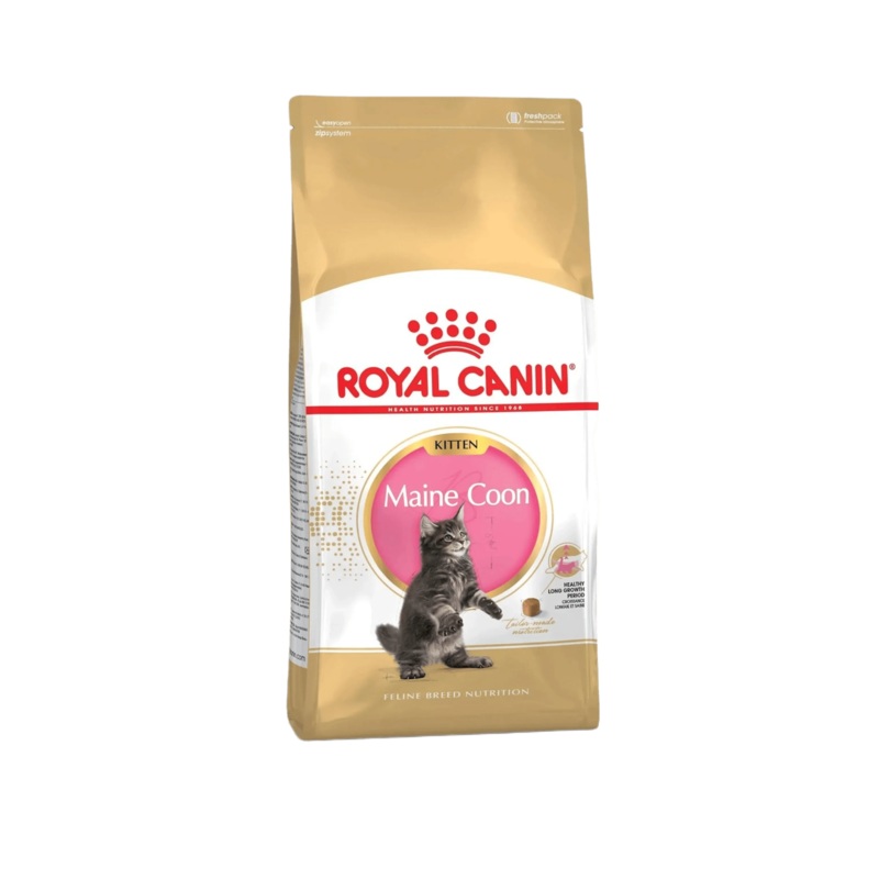 RC KITTEN MAINE COON DRY FOOD (S)