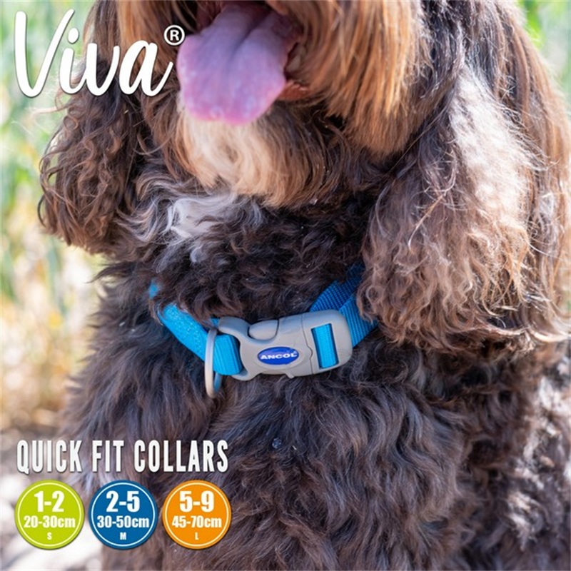 Ancol Nylon Adjustable Collar Blue 45-70cm Size 5-9