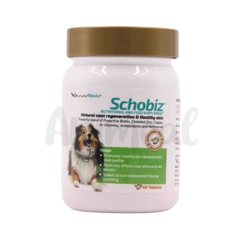 SCHOBIZ TABLET