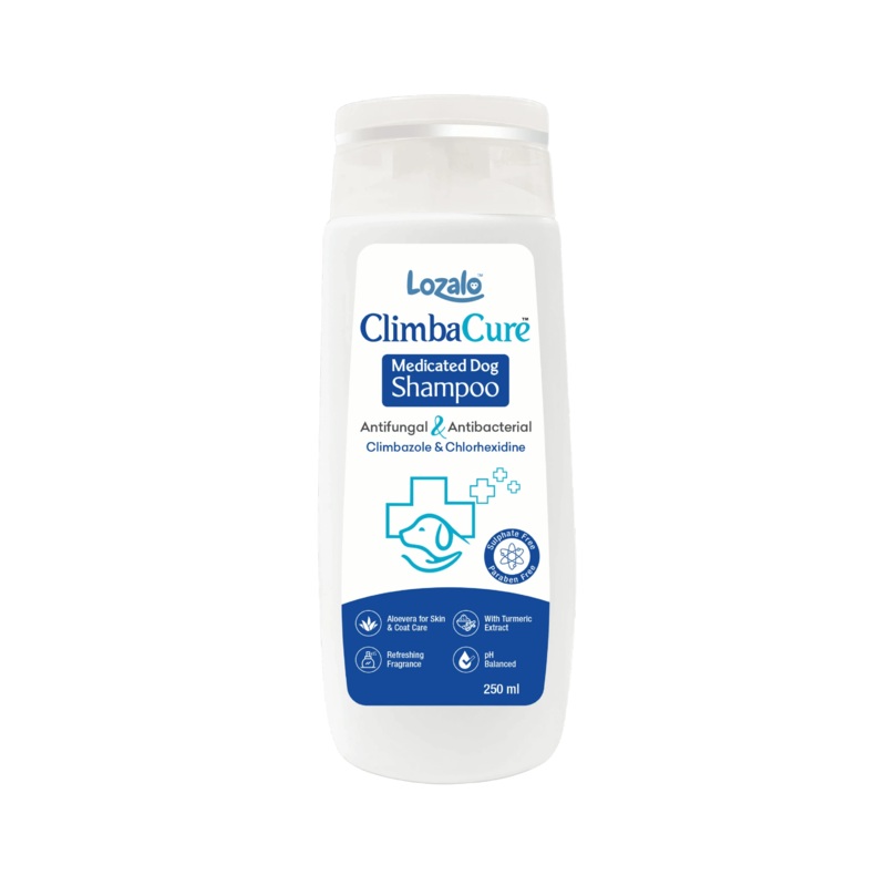 LOZALO CLIMBACURE SHAMPOO