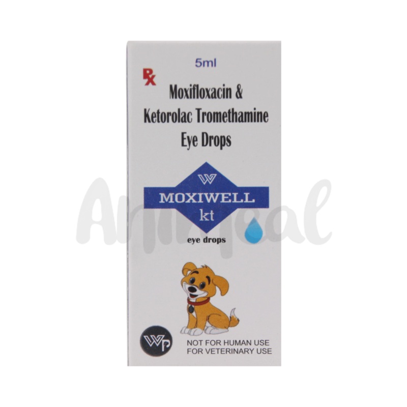 MOXIWELL KT DROPS