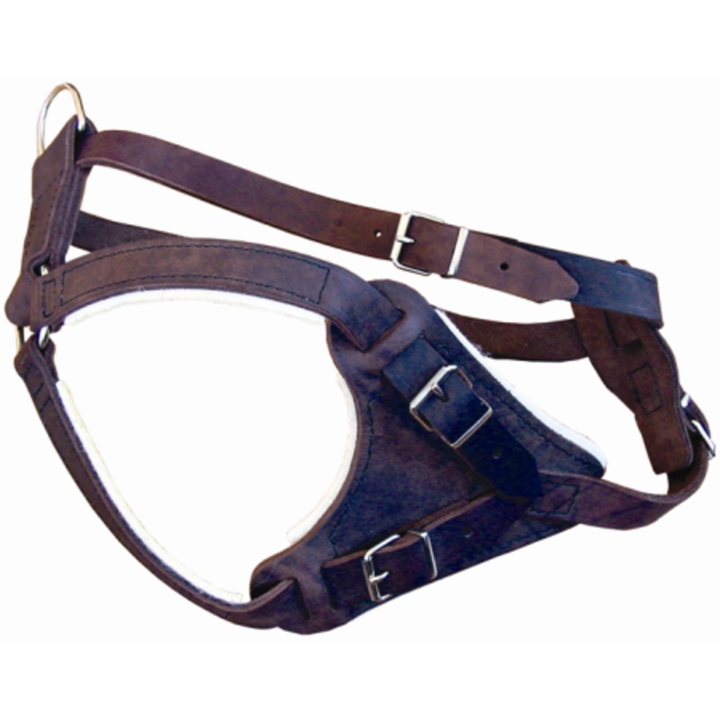 LEATHER DOG HARNESS