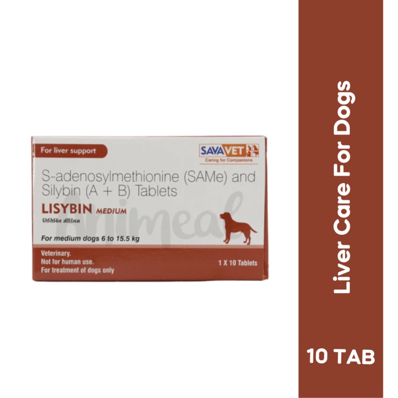 LISYBIN MEDIUM TABLET