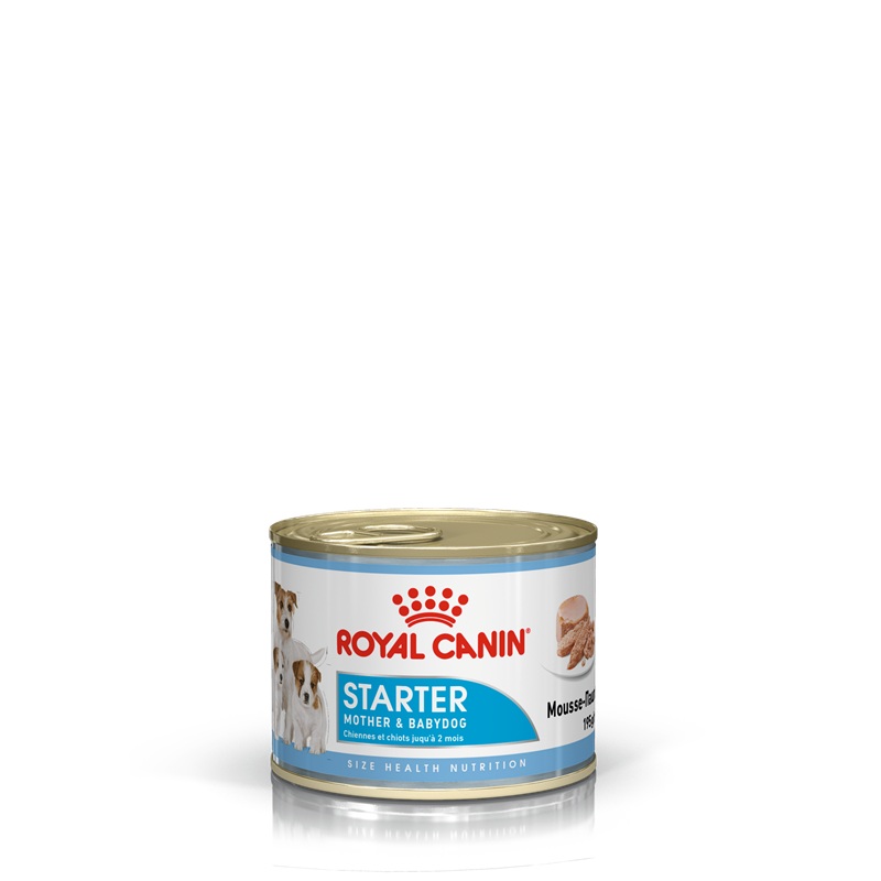 Royal Canin Dog Starter Mousse 195g
