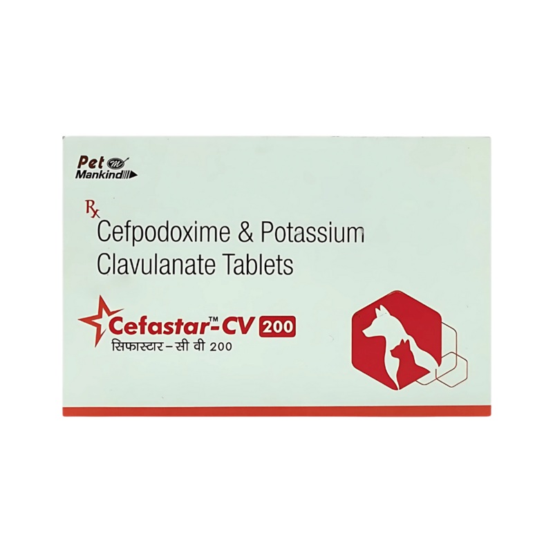 CEFASTAR CV 200MG TABLET