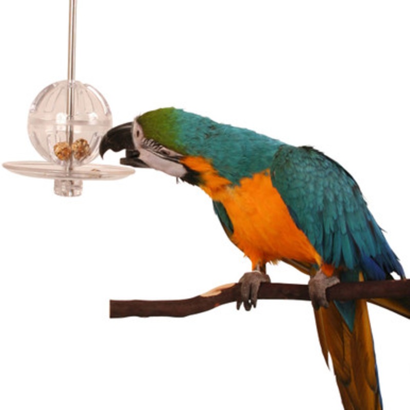 Creative Foraging Buffet Ball Kabob Parrot Toy