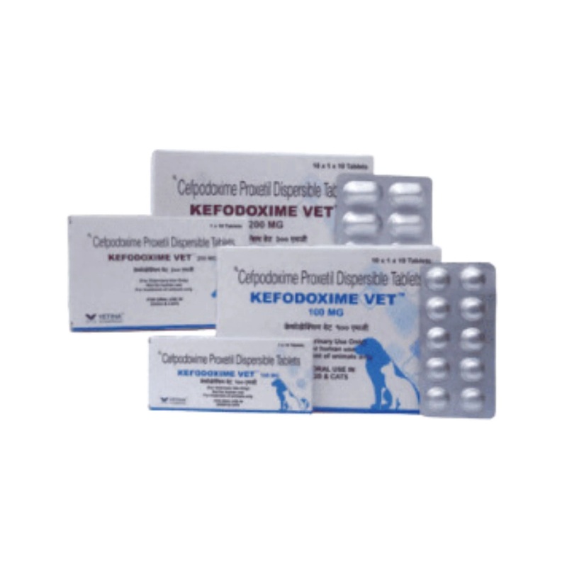 KEFODOXIME VET 100MG TABLET