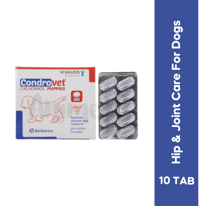 CONDROVET PUPPY TABLET