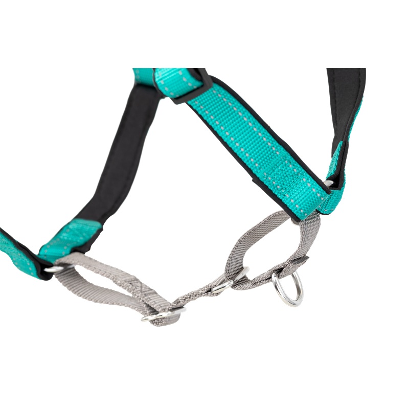 PetSafe 3 in 1 Harness and Car Restraint, Small, Black